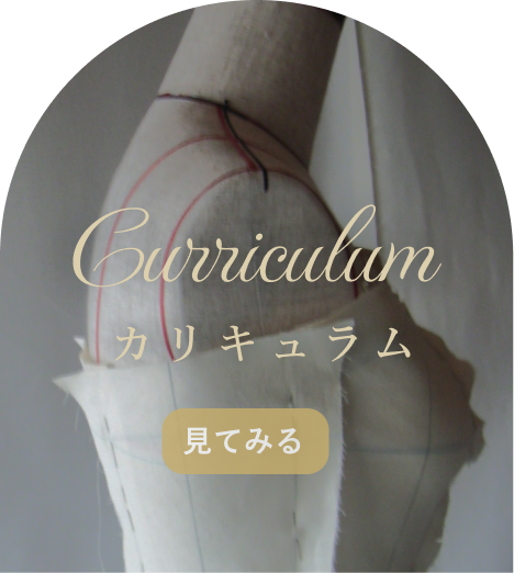 jochicajelのカリキュラム